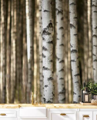 Silver Birch Wallpaper
