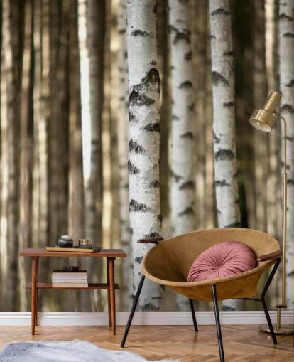 Silver Birch Tapete