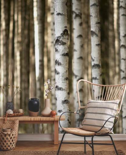 Silver Birch Wallpaper