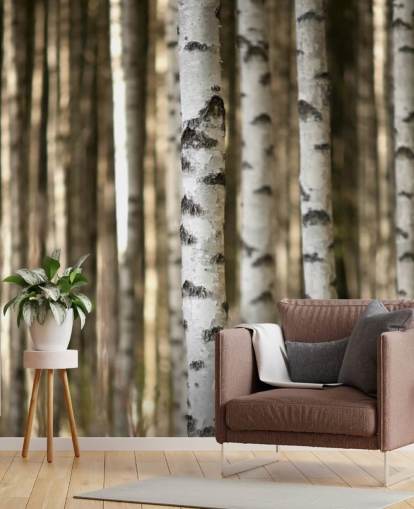 Papier peint Silver Birch