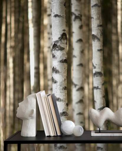 Silver Birch Wallpaper
