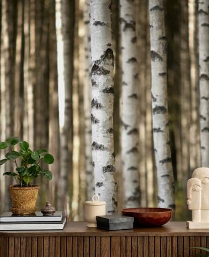 Silver Birch behang