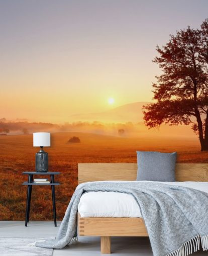 Tree in Field Sunset Wallpaper Tree in Field Sunset Wallpaper