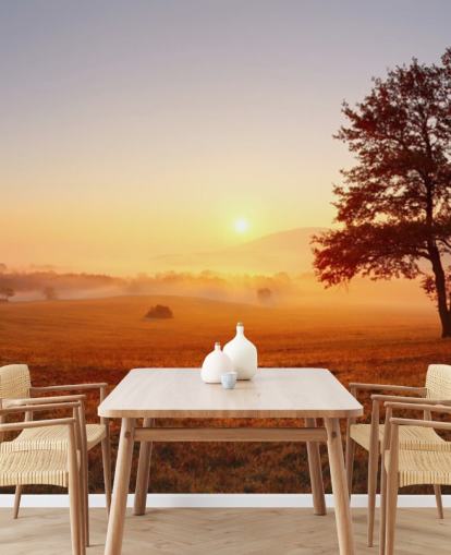 Papel de Parede Árvore em Campo Sunset