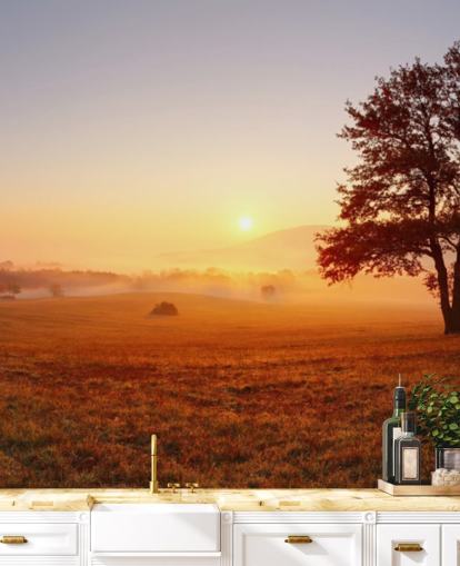 Papel de Parede Árvore em Campo Sunset Papel de Parede Árvore em Campo Sunset