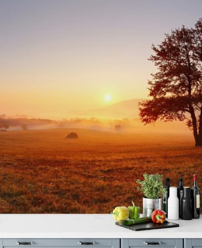 Tre i feltet Sunset Bakgrunn