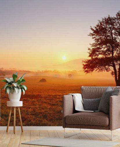 Tre i feltet Sunset Bakgrunn