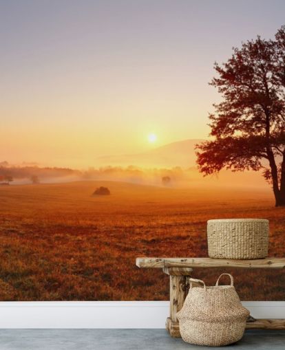 Papel de Parede Árvore em Campo Sunset