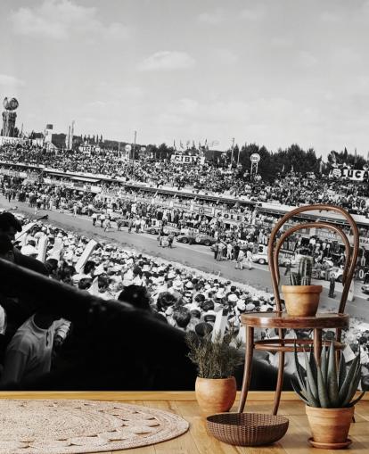 black and white customizable car racing wallpaper mural called GT Cars Le Mans 24 Hour Race (1963) for bedrooms, offices and businesses