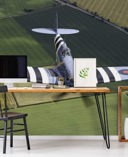 Spitfire with Invasion Stripes