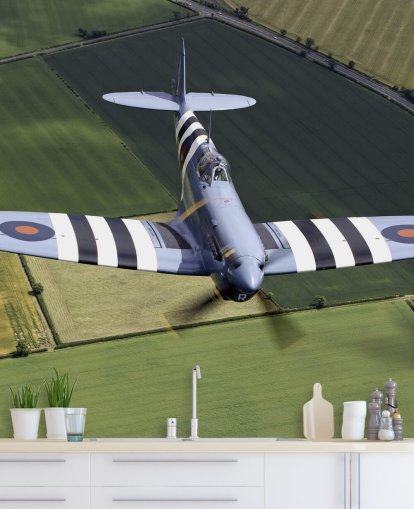 Spitfire with Invasion Stripes
