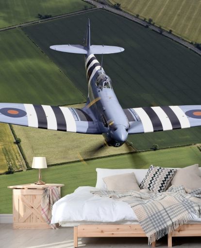 Spitfire with Invasion Stripes Spitfire with Invasion Stripes