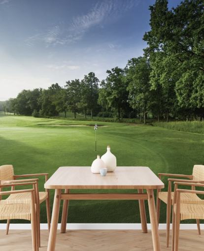 Decorazione murale Tranquil Dawn, Oak Park Golf Club, Surrey, Inghilterra Decorazione murale Tranquil Dawn, Oak Park Golf Club, Surrey, Inghilterra