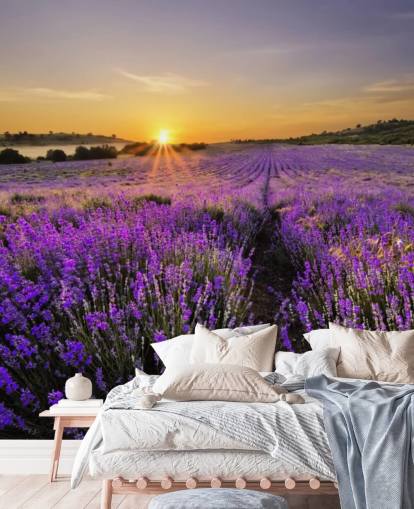Purple Lavender Field with Sunset Wallpaper