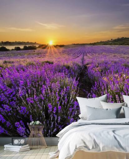 Purple Lavender Field with Sunset Wallpaper