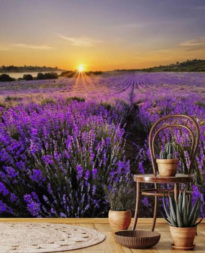 Purple Lavender Field with Sunset Wallpaper