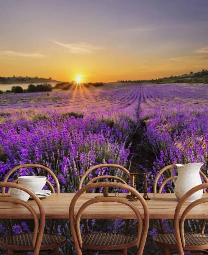 Purple Lavender Field with Sunset Wallpaper