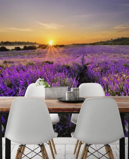 Fondo de pantalla de campo lavanda púrpura con atardecer Fondo de pantalla de campo lavanda púrpura con atardecer