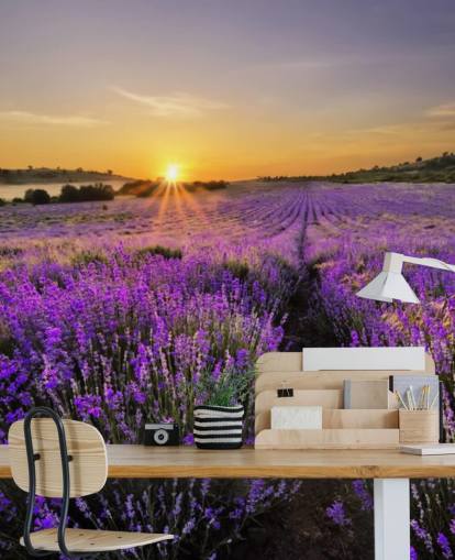 Fondo de pantalla de campo lavanda púrpura con atardecer Fondo de pantalla de campo lavanda púrpura con atardecer