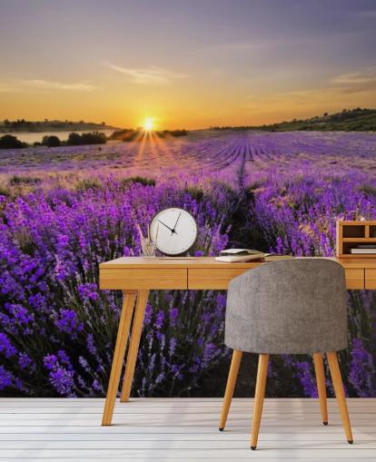 Papier peint Champ de lavande violet avec coucher de soleil