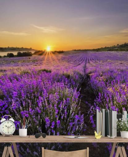 Lilla Lavendel Field med Sunset Bag