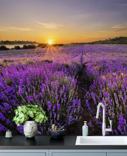Purple Lavender Field with Sunset Wallpaper Purple Lavender Field with Sunset Wallpaper