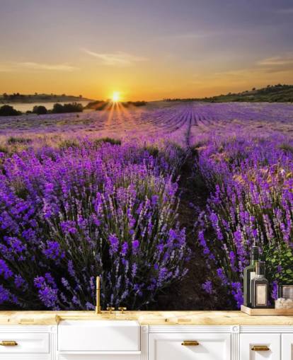 Lila lavendel Fält med Sunset