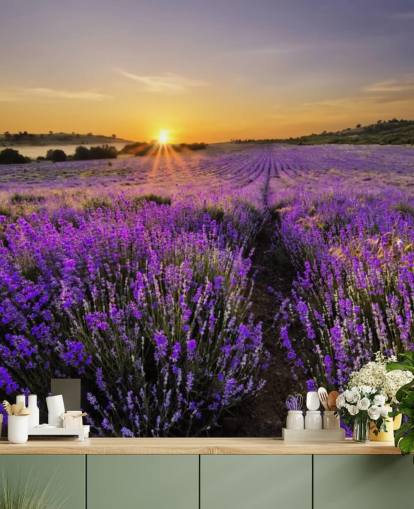 Lilla lavendel Felt med solnedgang Bakgrunn Lilla lavendel Felt med solnedgang Bakgrunn