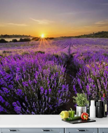 Campo di lavanda viola con carta da parati tramonto