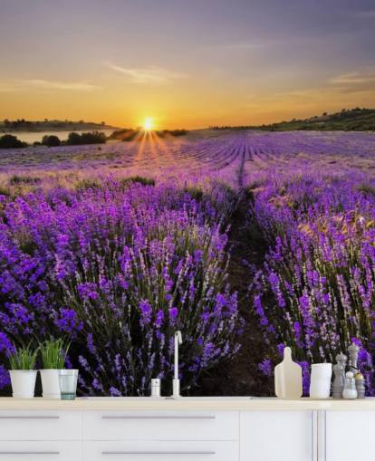 Paars lavendel veld met zonsondergang behang