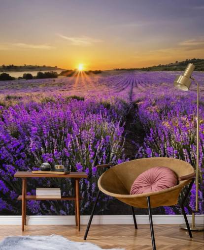 Lila lavendel Fält med Sunset