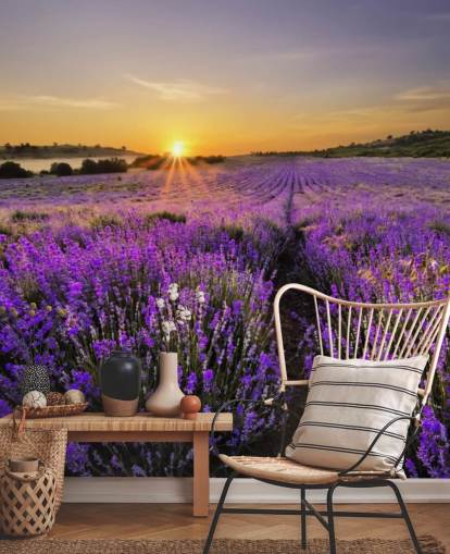 Fondo de pantalla de campo lavanda púrpura con atardecer