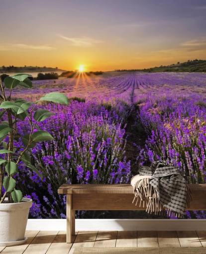 Fondo de pantalla de campo lavanda púrpura con atardecer
