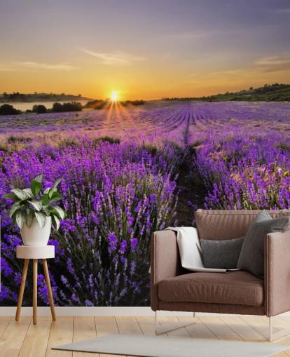 Purple Lavender Field with Sunset Wallpaper