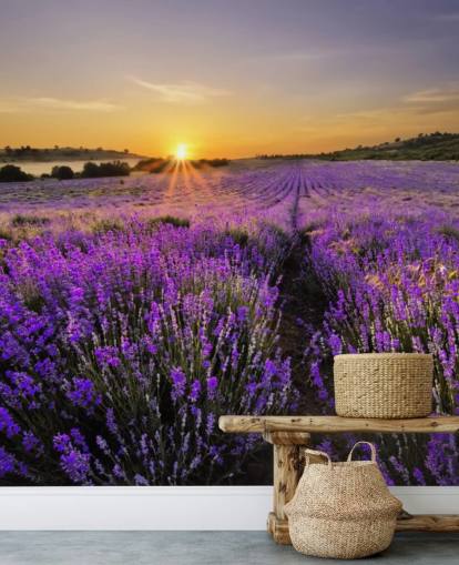 Campo de lavanda roxo com papel de parede do sol