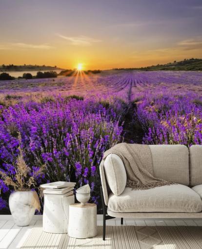 Purple Lavender Field with Sunset Wallpaper