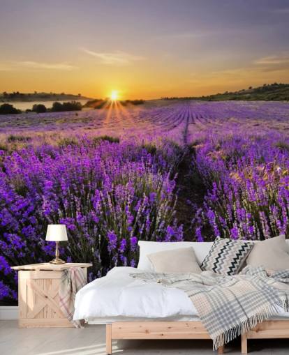 Fondo de pantalla de campo lavanda púrpura con atardecer