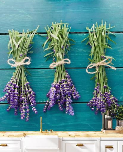 Decorazione murale con rami di lavanda su legno blu Decorazione murale con rami di lavanda su legno blu