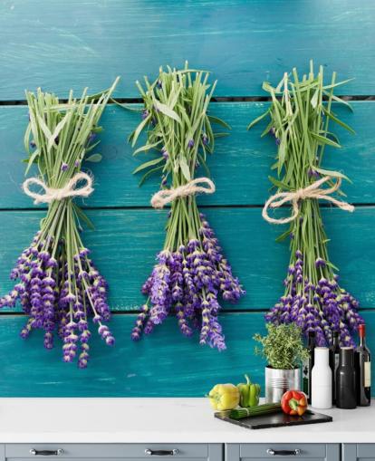 Lavendel Bughs på blå trä väggmålning