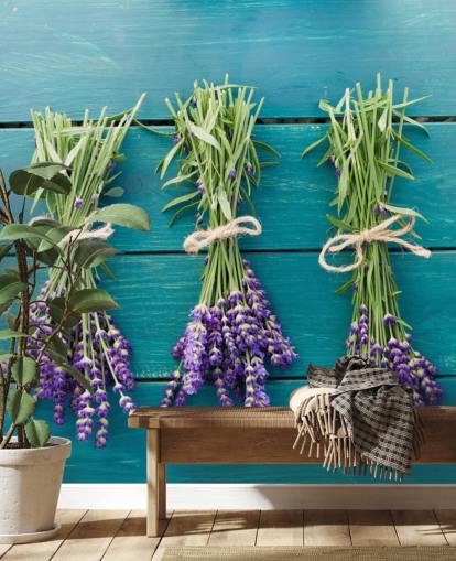Ramos de lavanda no mural de parede de madeira azul