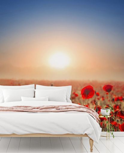 Red Poppies in a Field Wall Mural