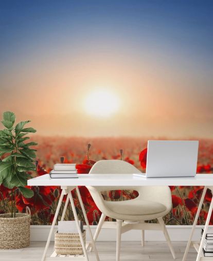 Red Poppies in a Field Wall Mural