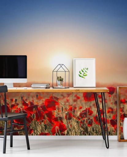 Red Poppies in a Field Wall Mural
