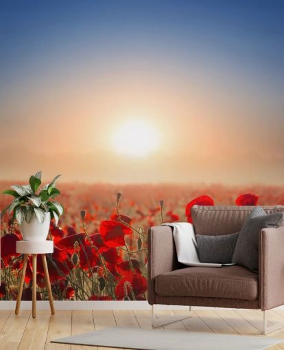 Rote Mohnblumen auf einem Feld Fototapete