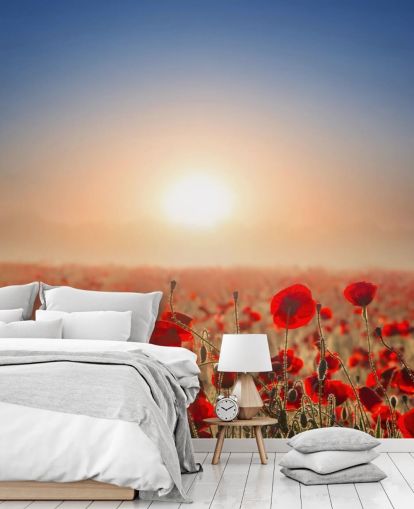 Red Poppies in a Field Wall Mural