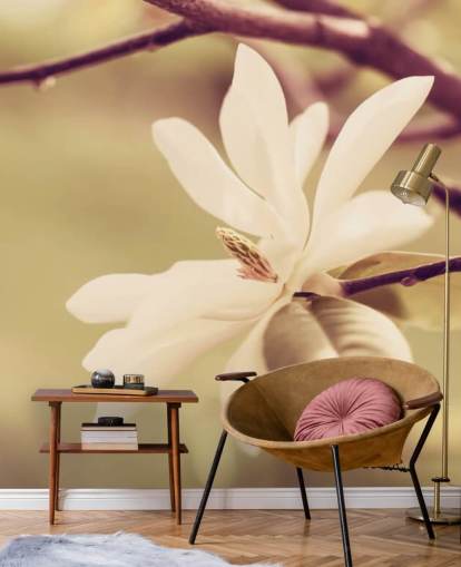 Åpne Hvit Magnolia Flower Bakgrunn