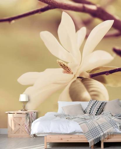 Open White Magnolia Flower Wallpaper