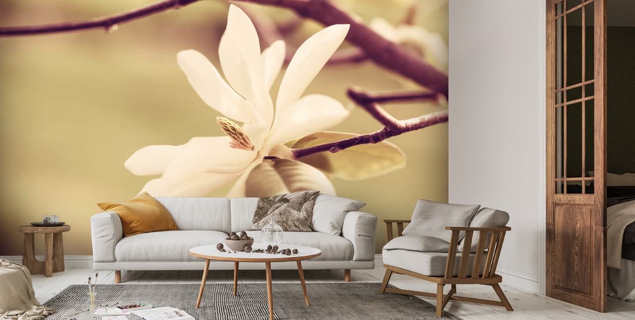 White Magnolia Blossom Wall Mural | Wallsauce AU