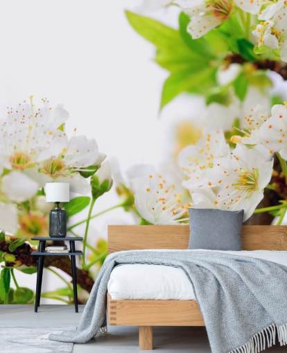 Vit Plommon Blossom gren Bakgrund