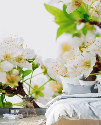 White Plum Blossom Branch Wallpaper